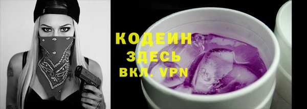 молекула духа Ростов
