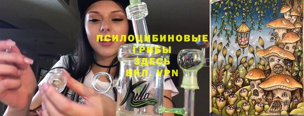 ALPHA PVP Алексин