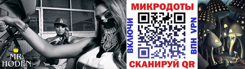 Псилоцибиновые грибы MAGIC MUSHROOMS  Дубна 