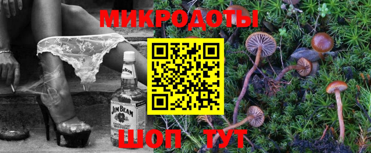 Псилоцибиновые грибы MAGIC MUSHROOMS  Вход с VPN  Дубна 