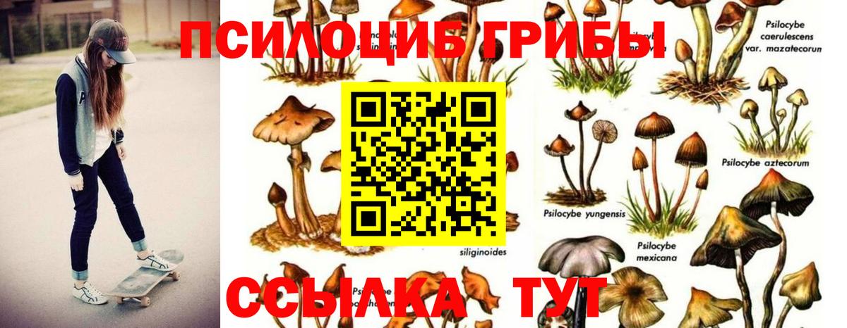 Псилоцибиновые грибы MAGIC MUSHROOMS Дубна