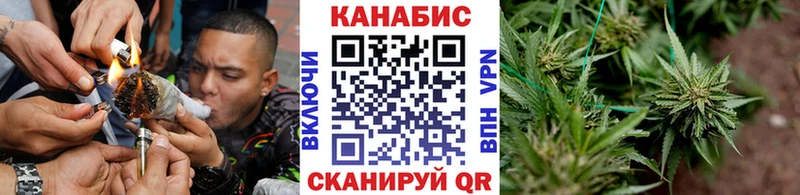 KRAKEN tor  наркотики  Дубна  shop официальный сайт  Шишки марихуана планчик 