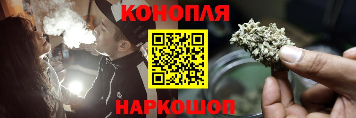 Канабис сатива Дубна